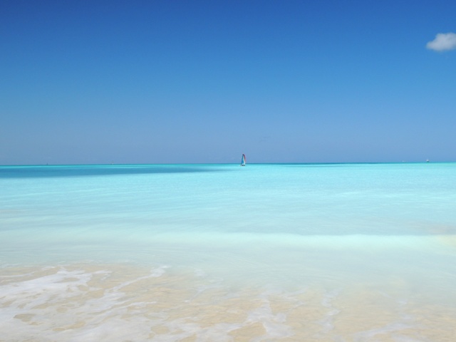 b0173754_11123664.jpg