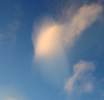b0173754_1126329.jpg