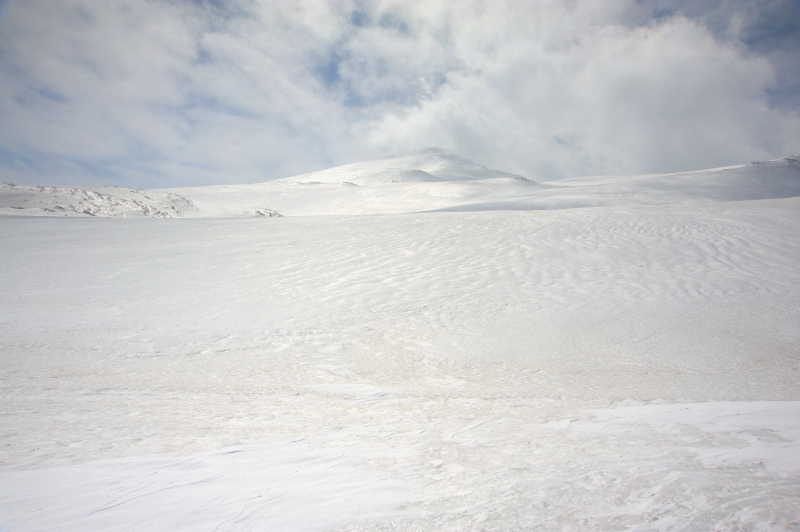 d0169556_1723928.jpg