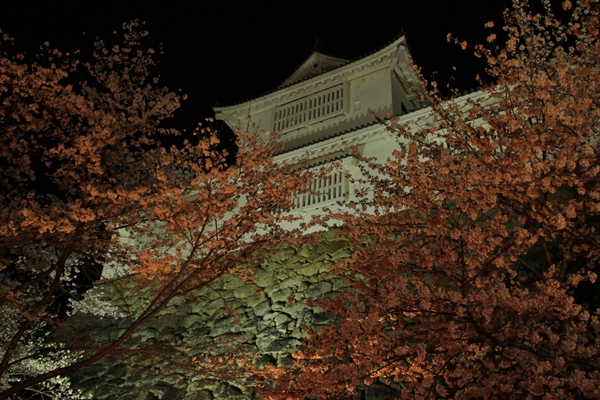 b0138661_11204629.jpg