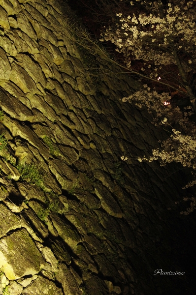 b0138661_11314958.jpg