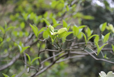 b0267163_15491774.jpg