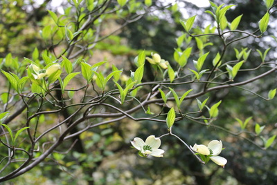 b0267163_15555135.jpg