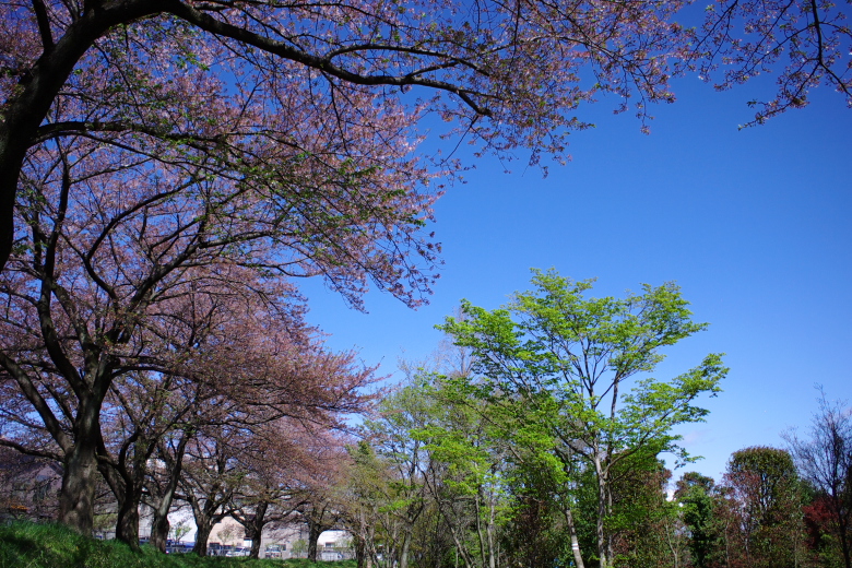 b0120979_15342798.jpg