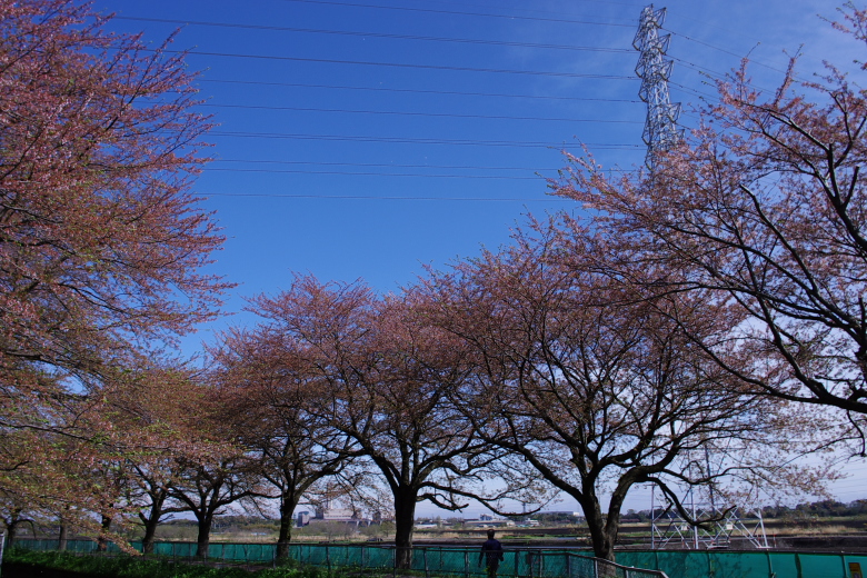 b0120979_1534541.jpg
