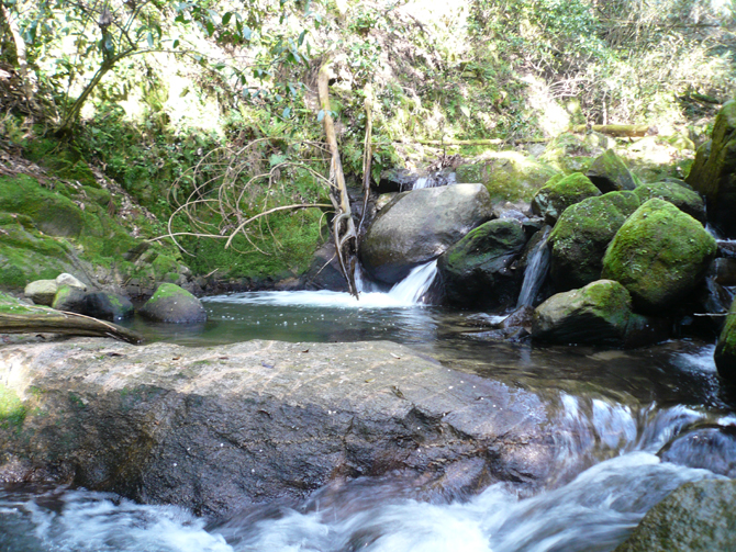 f0183484_18591348.jpg