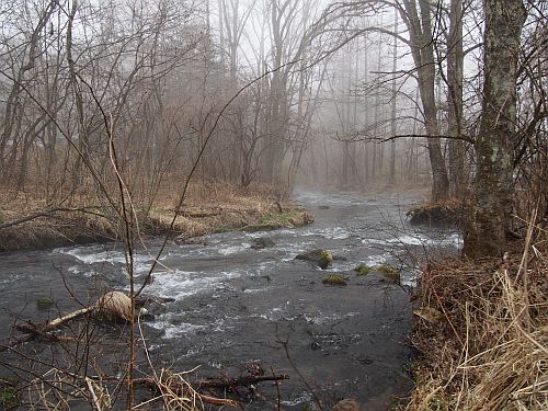 b0134988_11335151.jpg