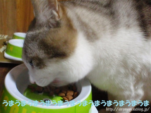 a0159490_15212966.jpg