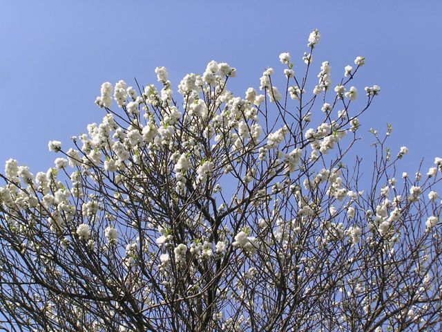 f0130894_21134557.jpg
