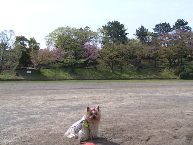 f0130894_21144290.jpg