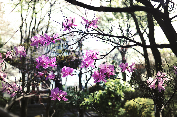 b0286898_20101014.jpg