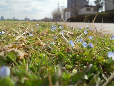 c0208099_23353814.jpg