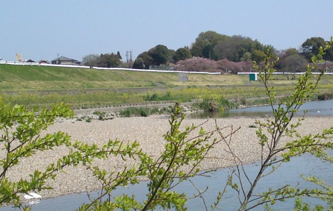 a0031000_12503071.jpg