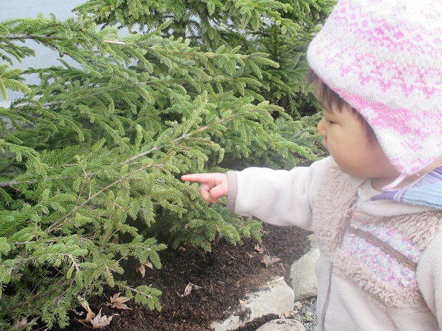 f0202703_2244694.jpg