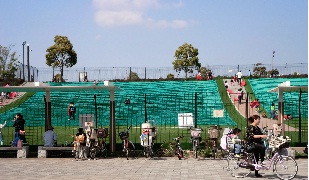 d0299604_11422639.jpg