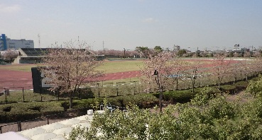 d0299604_1143367.jpg