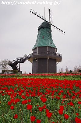 e0145805_191655.jpg