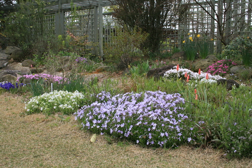 a0139007_919171.jpg