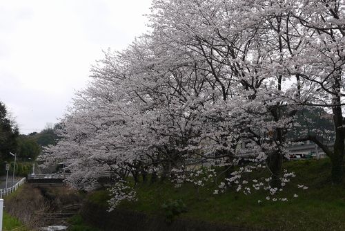b0061107_22471654.jpg