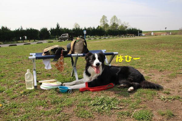 d0224111_731945.jpg