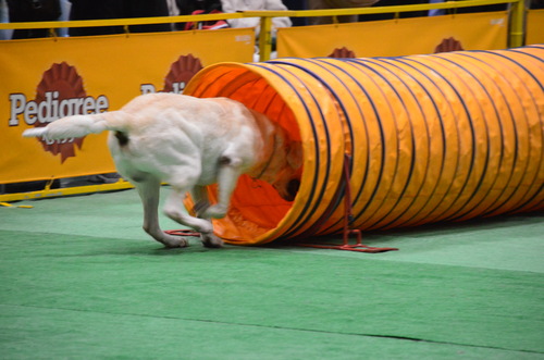 f0124830_3111176.jpg