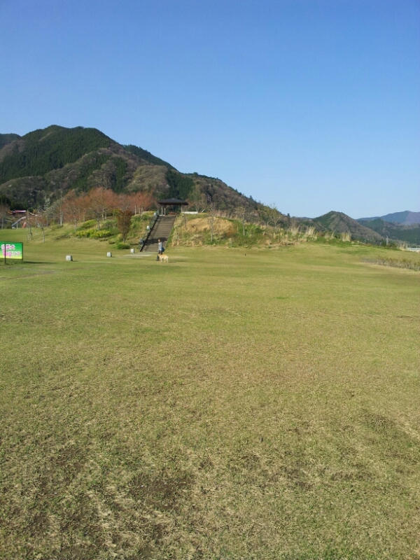 a0146431_134214.jpg