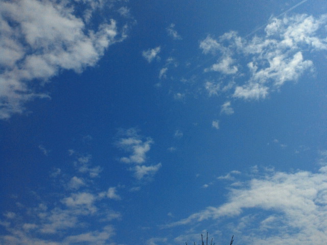 e0270632_14335115.jpg