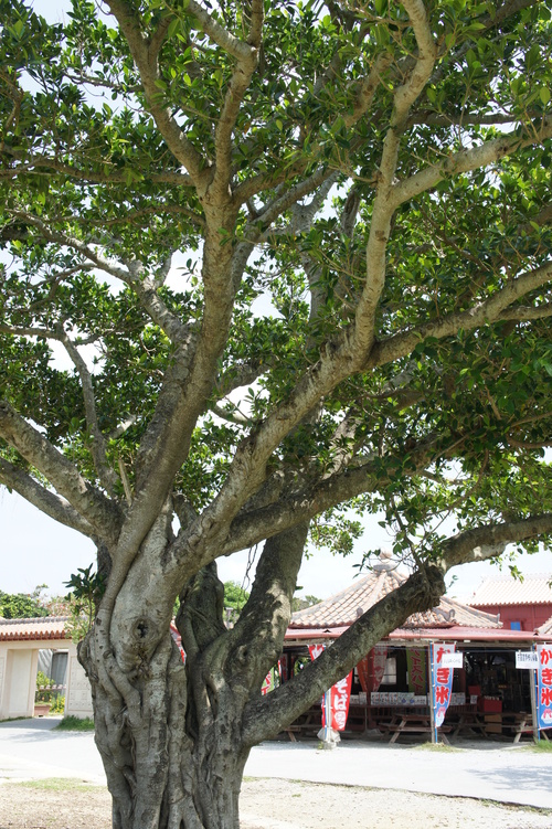 d0225637_22474364.jpg