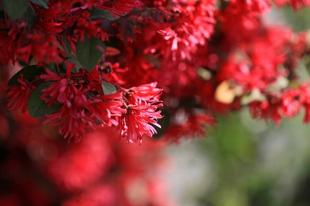 a0242438_18433990.jpg