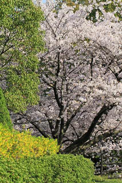 a0242438_18443056.jpg