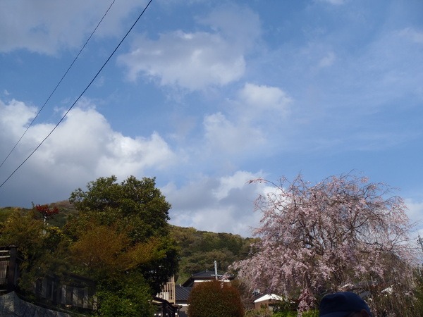 a0054240_23442641.jpg