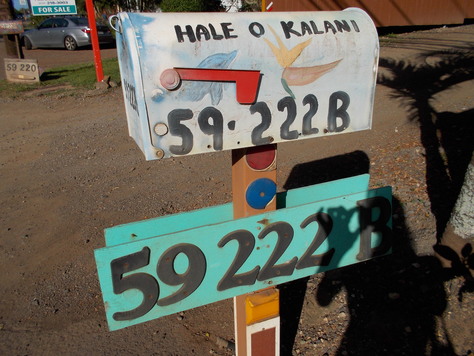 f0171644_1638344.jpg