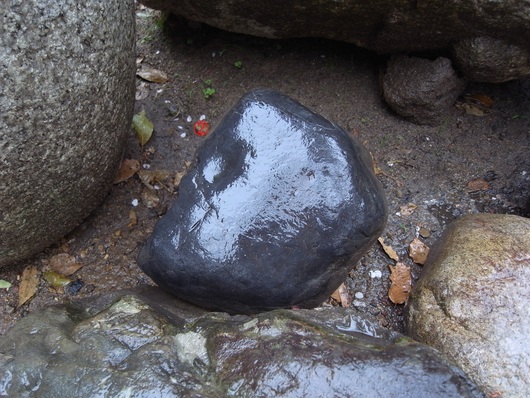 e0126548_858365.jpg