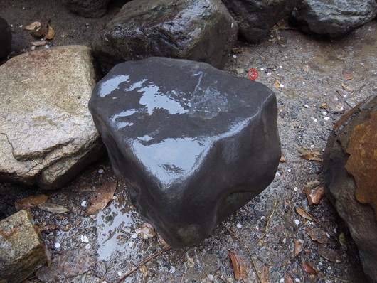 e0126548_8585323.jpg