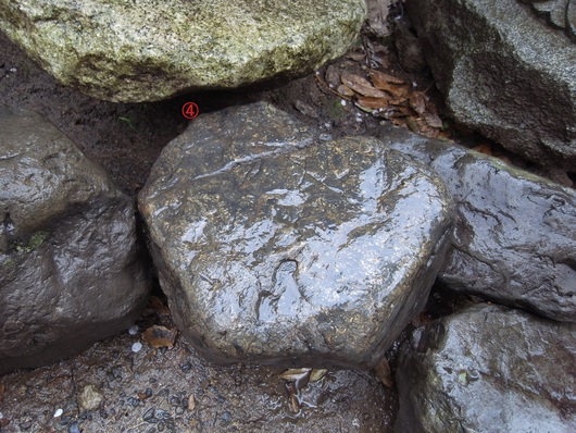 e0126548_8592818.jpg