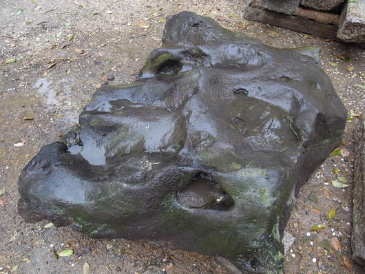 e0126548_971853.jpg