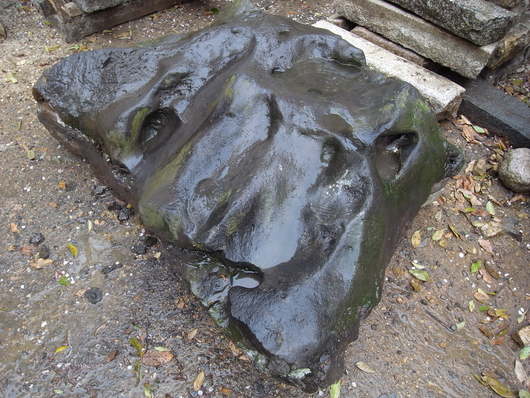 e0126548_97589.jpg