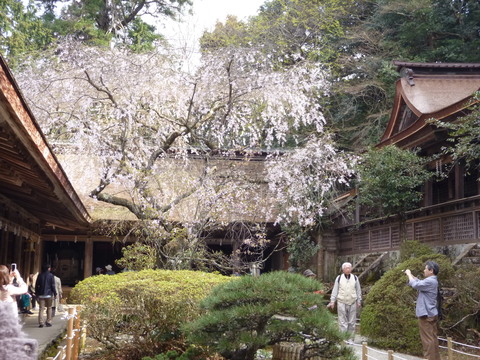 f0233356_7452583.jpg