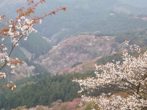 f0233356_7481168.jpg