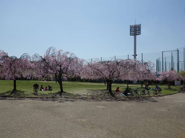 e0143671_1116319.jpg