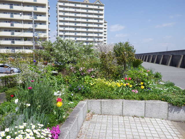 e0143671_116114.jpg