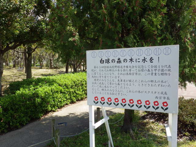 e0143671_119457.jpg