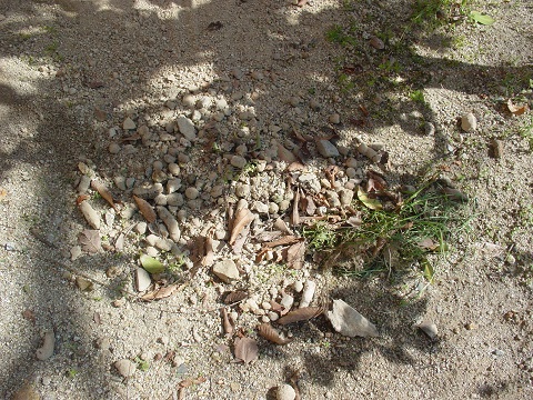 b0194872_23494988.jpg