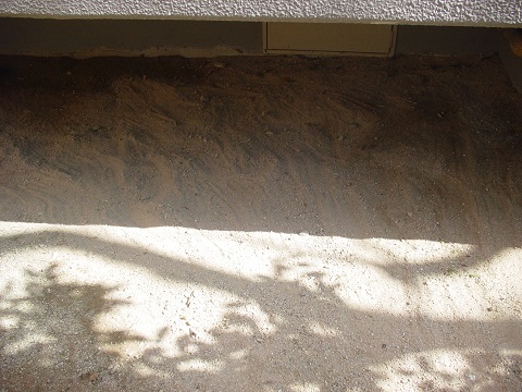 b0194872_23502621.jpg