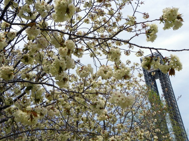 b0004675_17394186.jpg