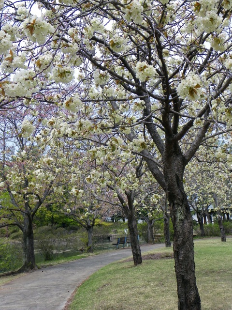 b0004675_17394476.jpg