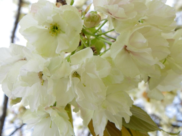 b0004675_17394588.jpg