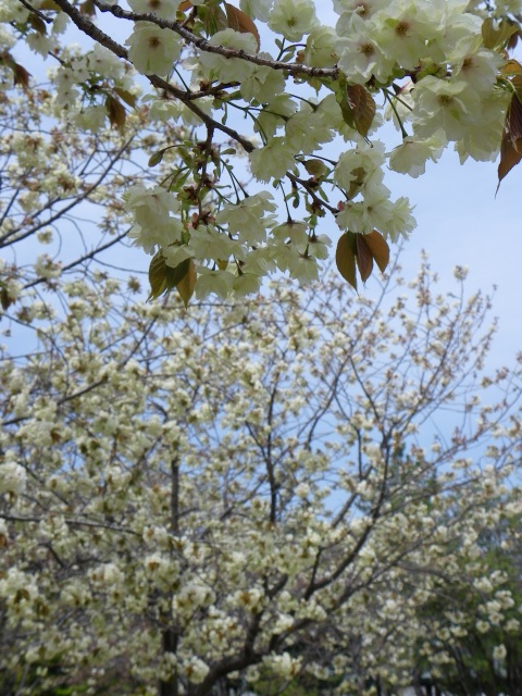 b0004675_17394996.jpg