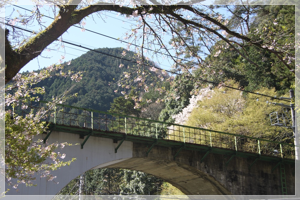 e0027083_22391497.jpg