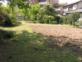 e0130185_219974.jpg